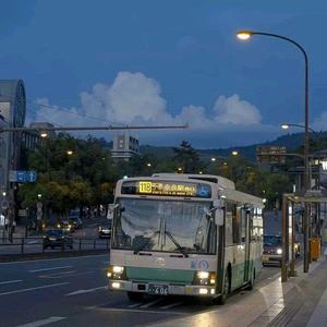 欧美一区二区A片
