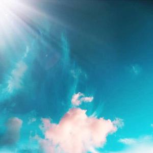 欧美一区二区A片
