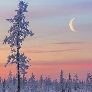 欧美一区二区A片
